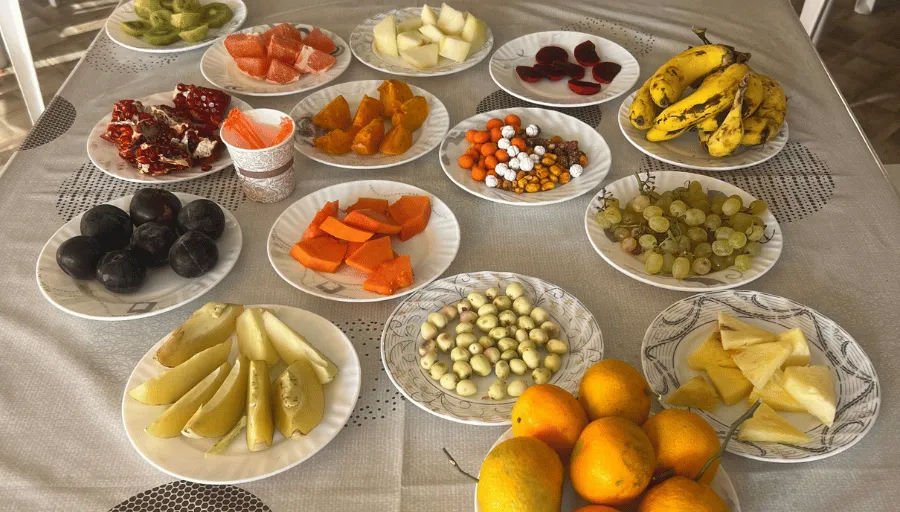 Nature Safari photo 5